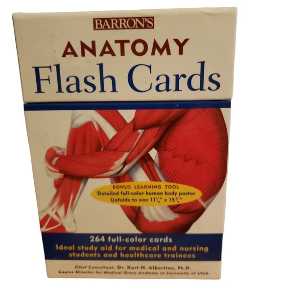 Barrons Other Barrons Anatomy Flash Cards Poshmark